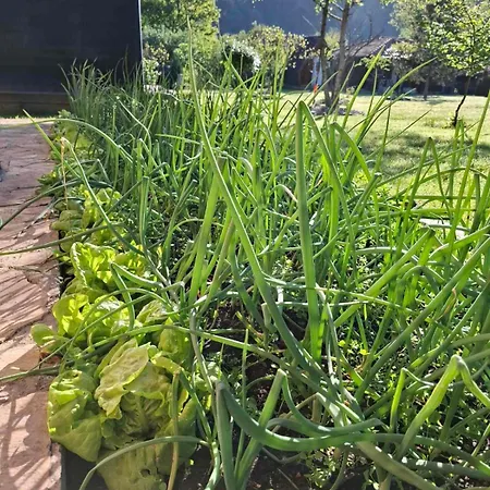 Drveni San Senovic 2 Feriehus