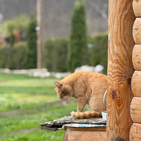 Feriehus Drveni San Senovic 2