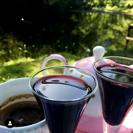 Drveni San Senovic 2 Дом отдыха Bogutovac